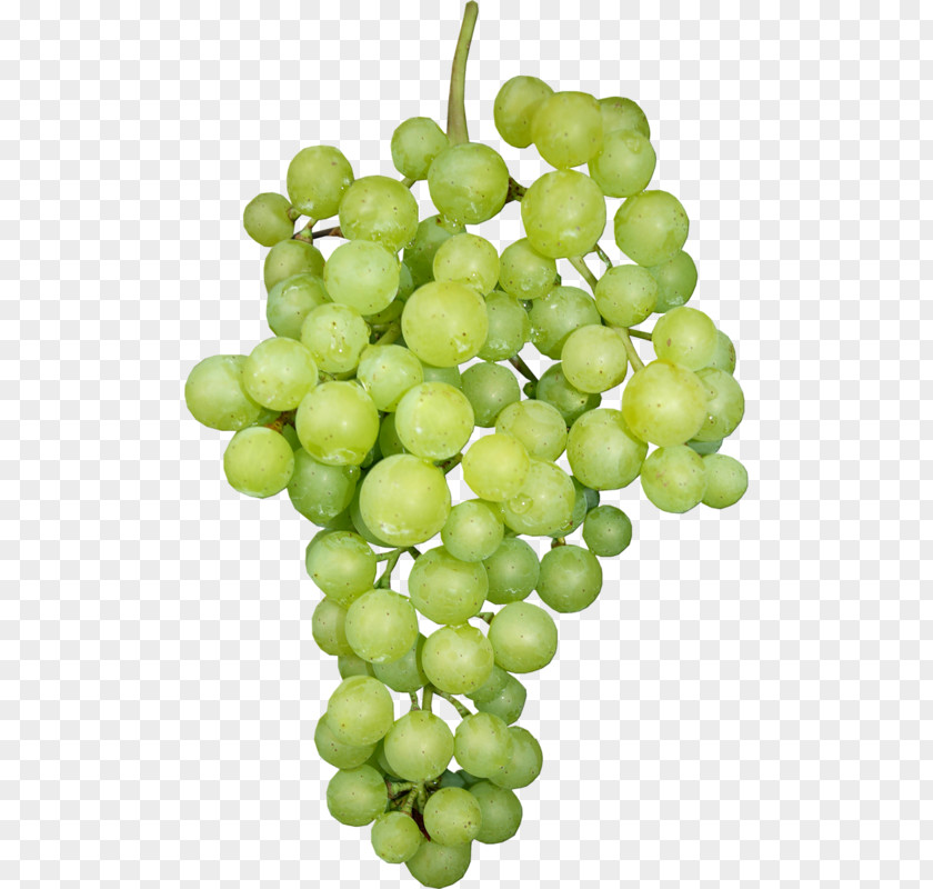 Grape Sultana Verjuice Seedless Fruit PNG