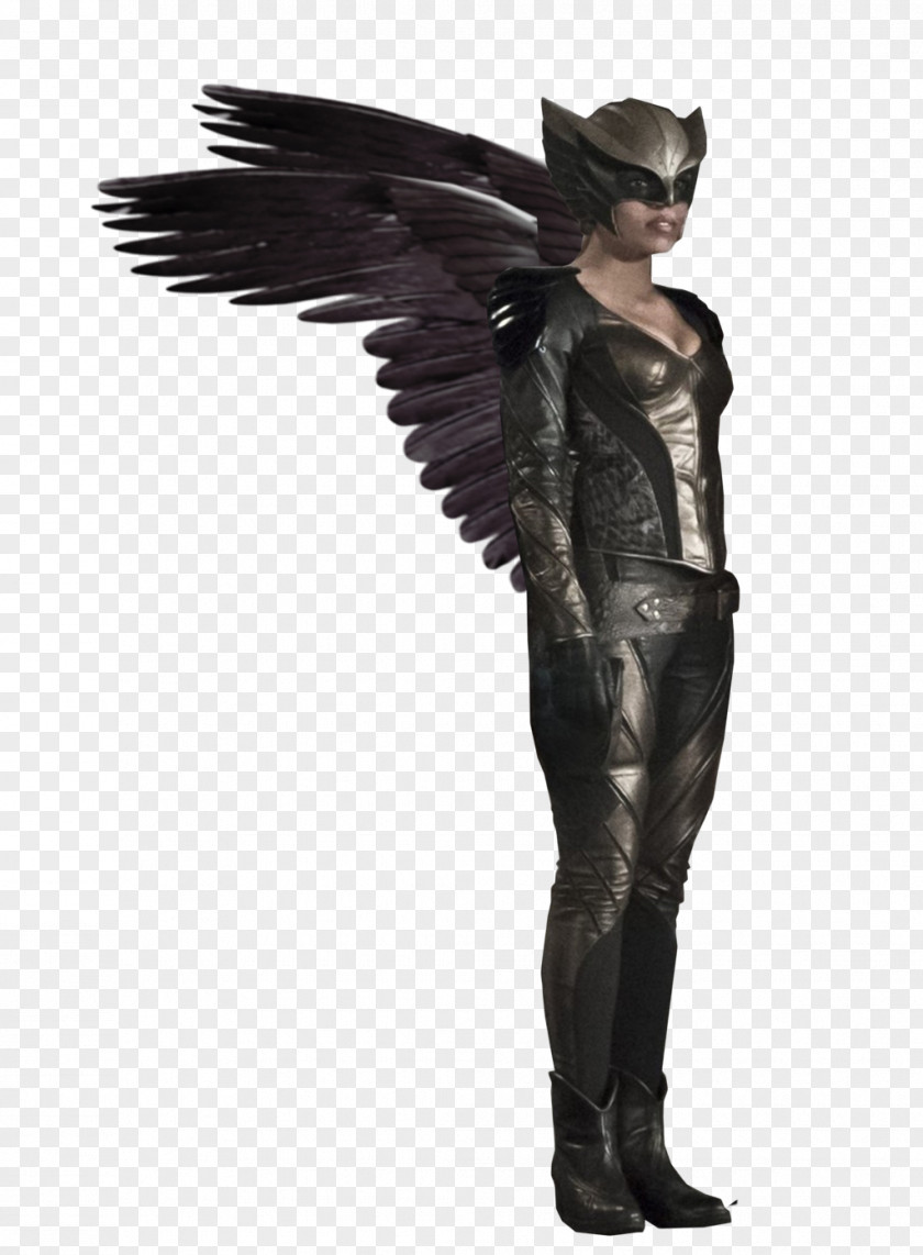 Hawkgirl Hawkman (Katar Hol) Diana Prince Katana PNG