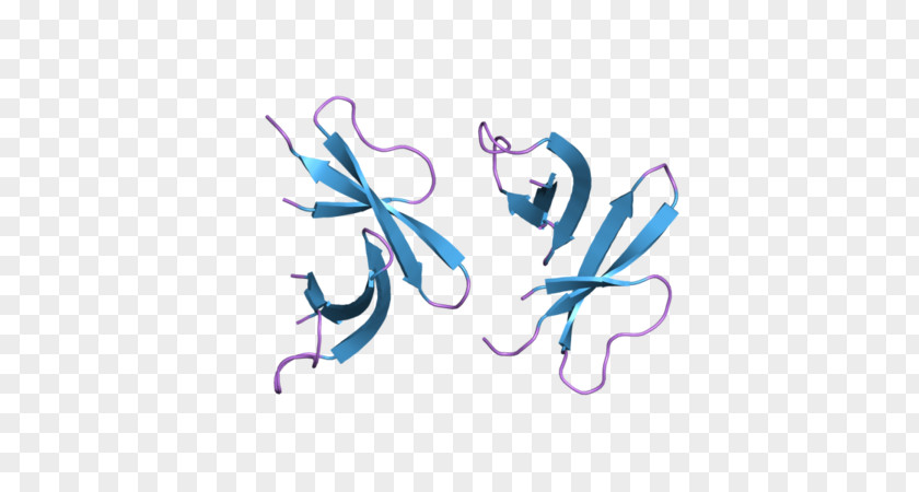 Molecular Biology Butterfly Desktop Wallpaper Clip Art PNG