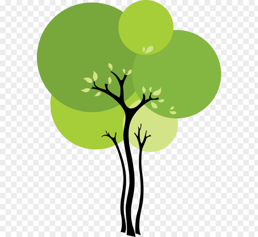 Plant Stem Branch Green Tree Leaf Clip Art PNG