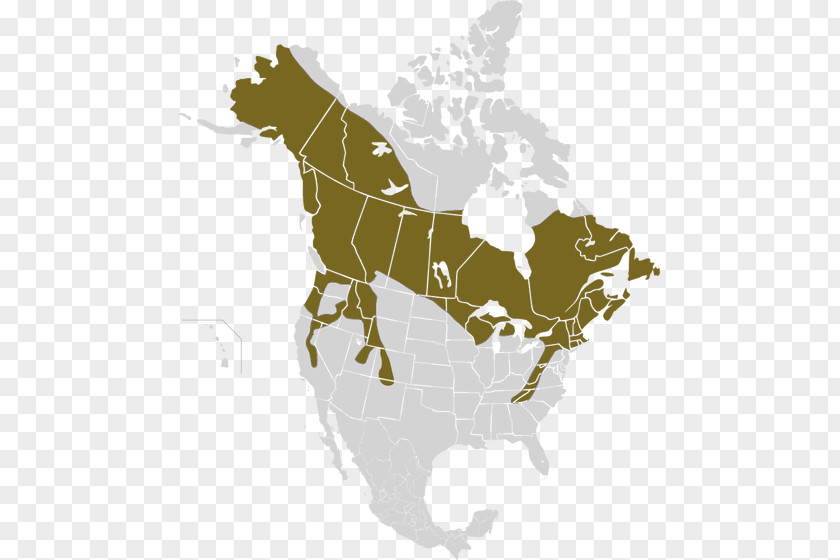 Where Do Lynx Live Snowshoe Hare American Black Bear Map Rabbit PNG