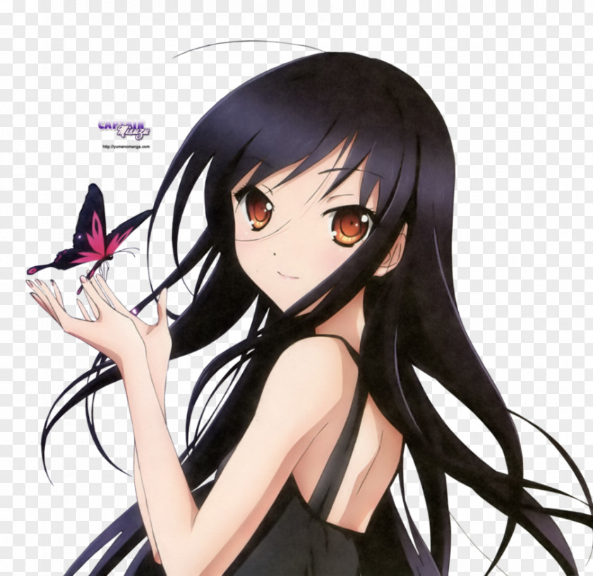 Black Hair Brown Anime Accel World PNG hair World, clipart PNG