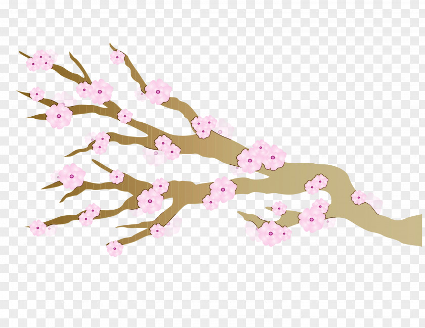 Cherry Blossom Image YouTube Video PNG