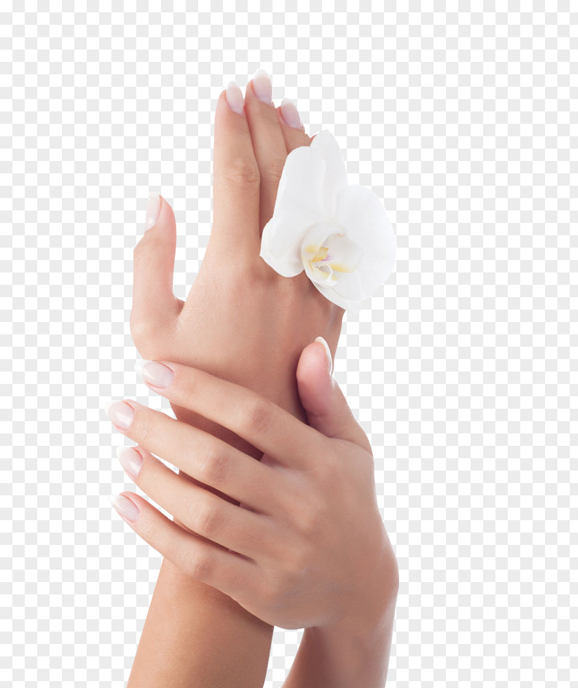 Hand Care And Flowers PNG care and flowers clipart PNG