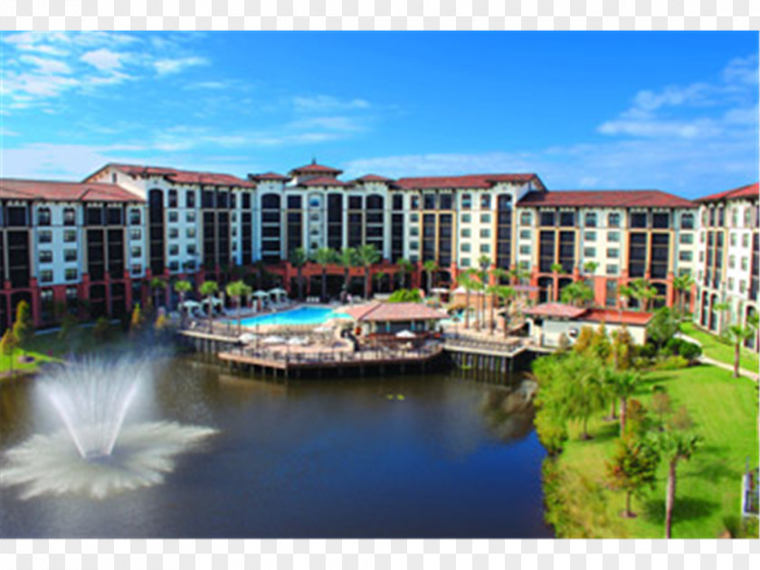 Hotel International Drive Sheraton Vistana Villages Resort Villas, I-Drive/Orlando Hotels And Resorts PNG