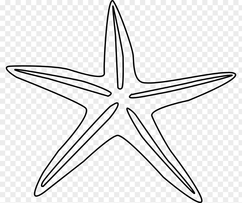 Black Star Starfish Drawing Clip Art PNG