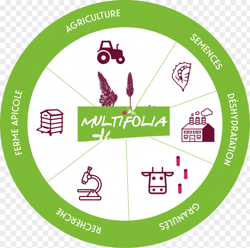 Cooperative Organization Multifolia Partnership Industry PNG