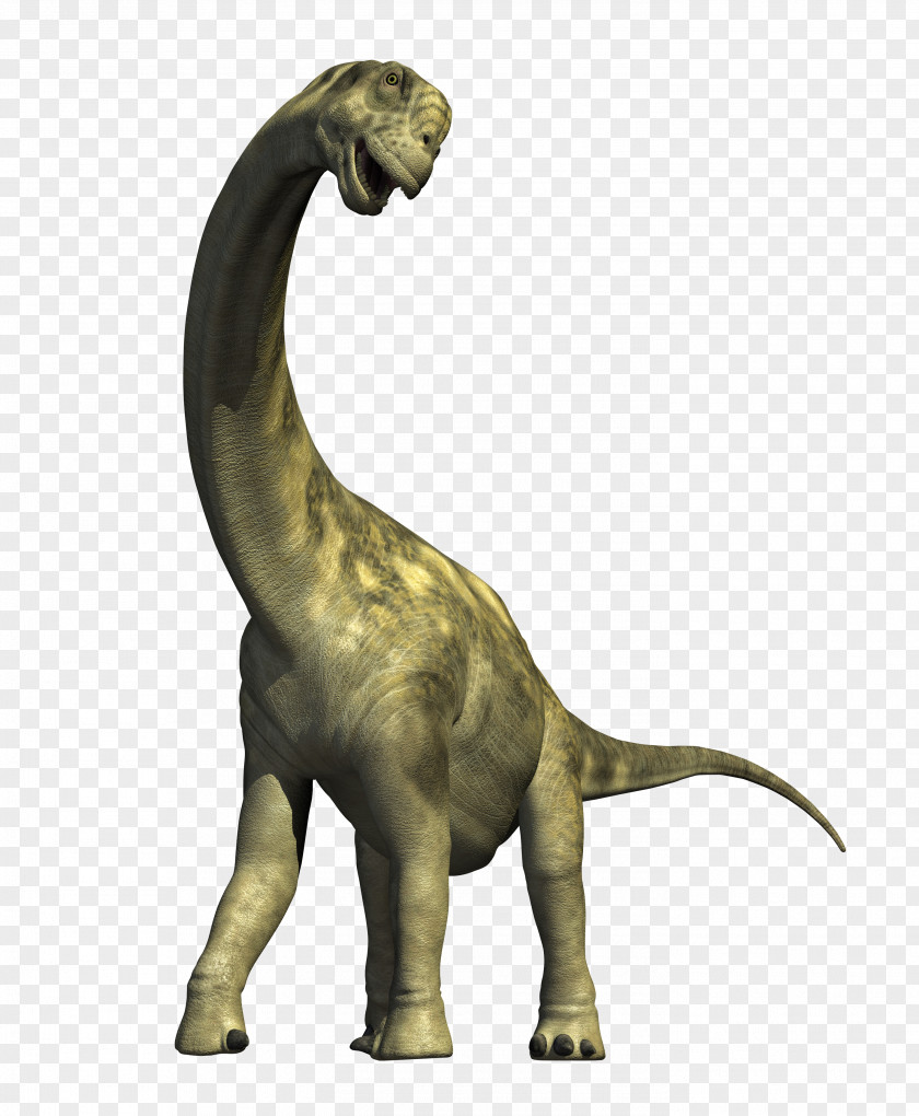 Dinosaur Camarasaurus Apatosaurus Diplodocus Compsognathus PNG