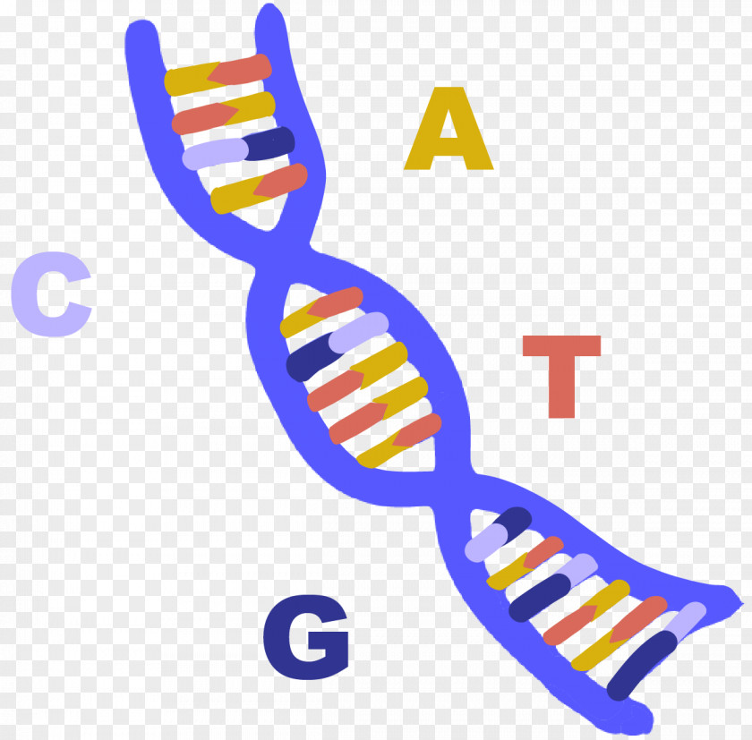 Dna Transparency And Translucency RNA Indian Institute Of Technology Delhi Nucleic Acid A-DNA PNG