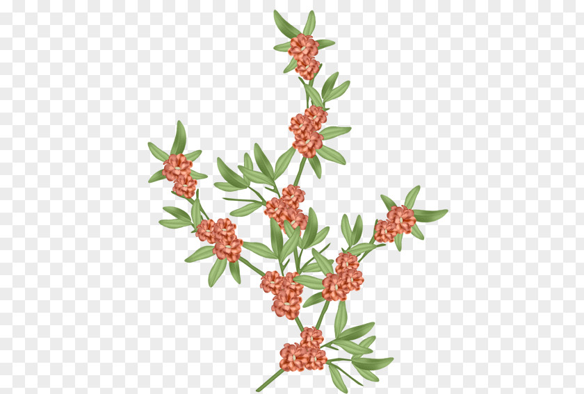 Flower Clip Art PNG