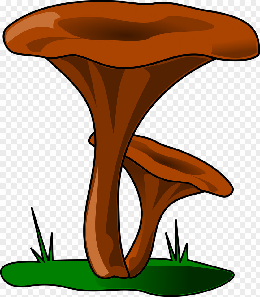 Fungi Mushroom Fungus Clip Art PNG