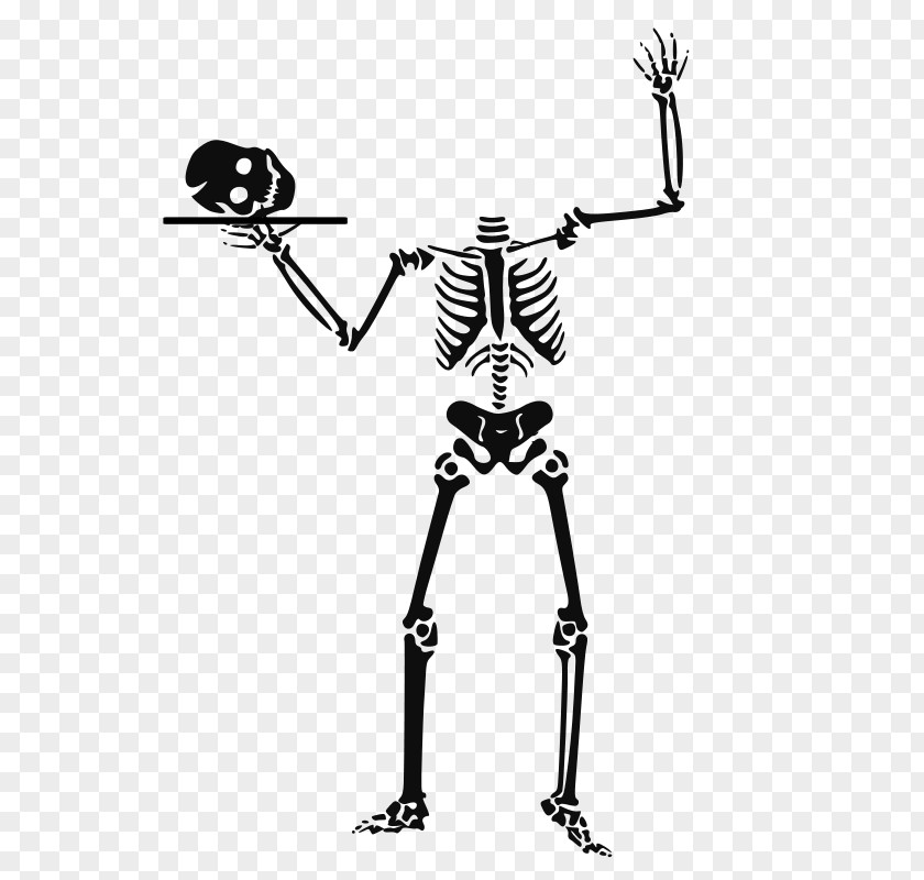 Halloween Vector Art Human Skeleton Clip PNG