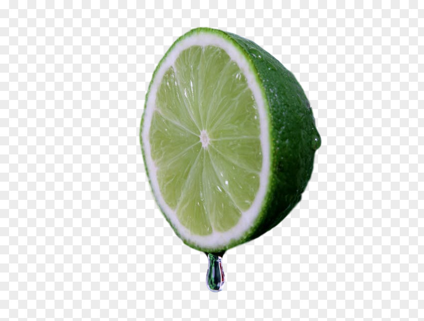 Lemon-lime Drink Key Lime Persian PNG