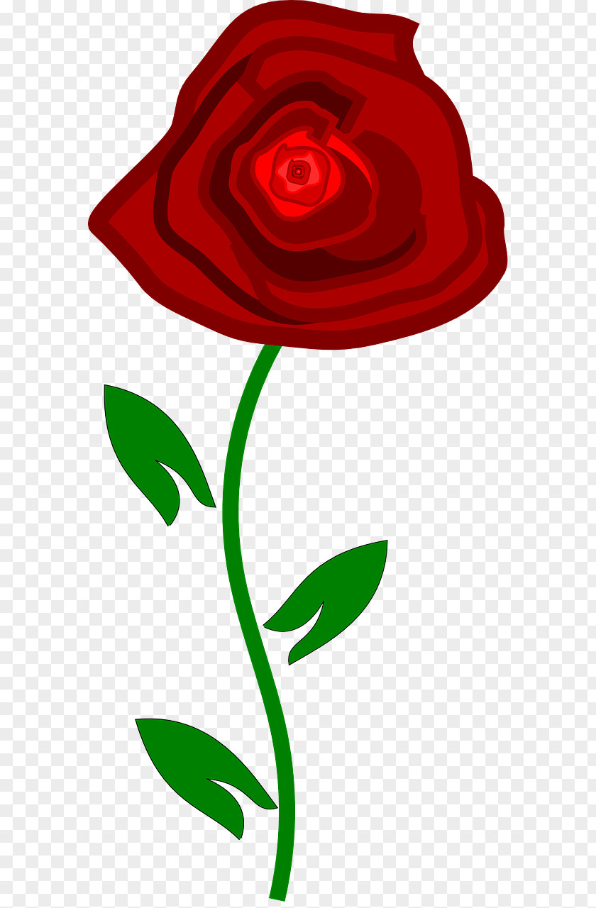 Rose Leslie Best Roses Clip Art PNG
