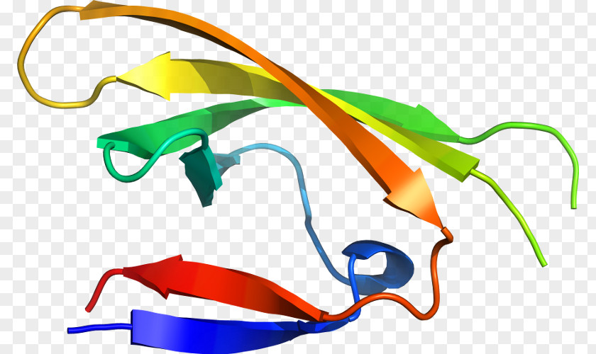 Glasses Goggles Clip Art Product Line PNG