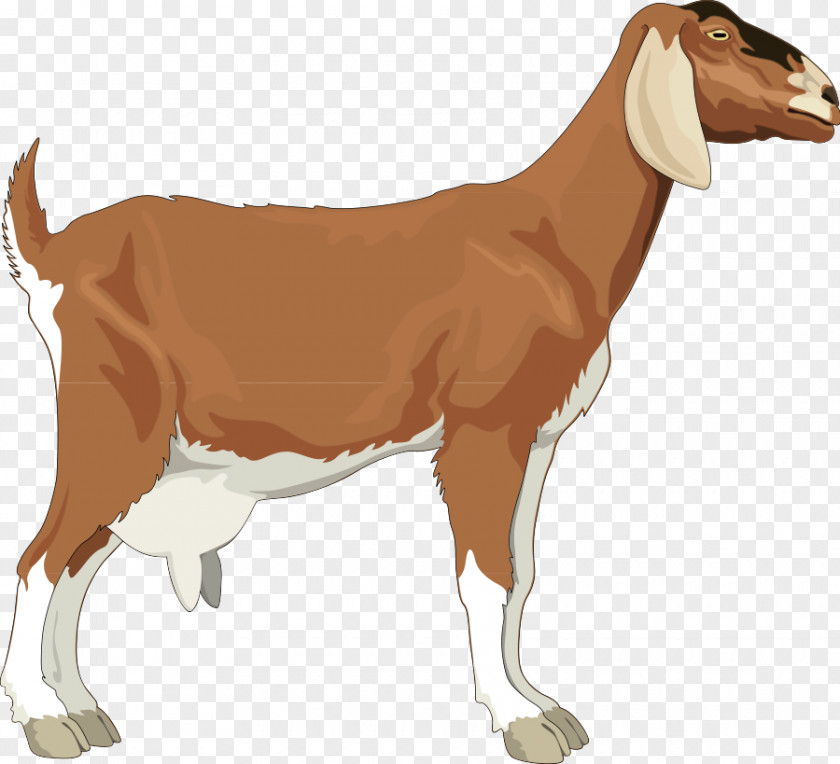 Goat Cliparts Boer Black Bengal Clip Art PNG