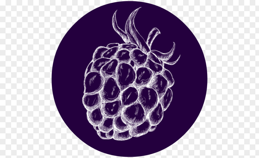 Grape Purple Pattern PNG