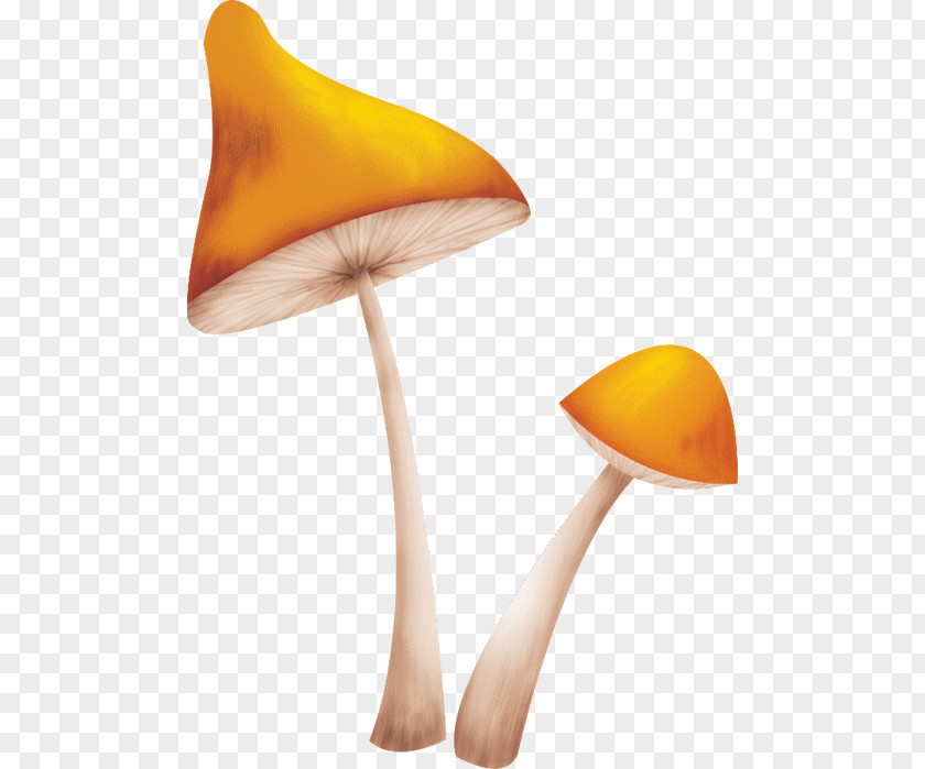 Mushroom Украинский алфавит для детей Fungus PNG