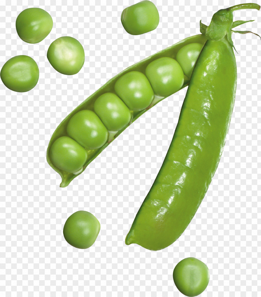 Pea Icon Wallpaper PNG
