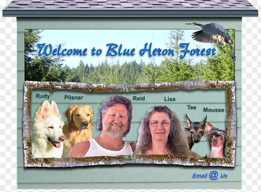 Surname Family Picture Frames Mammal PNG