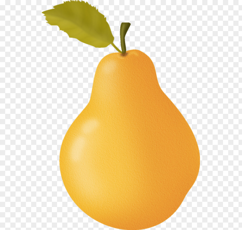 A Pear European PNG