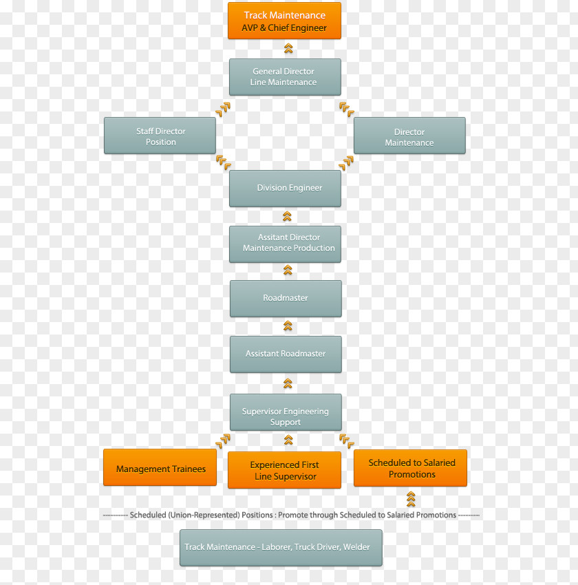 Business Career Ladder Organization Human Resource PNG