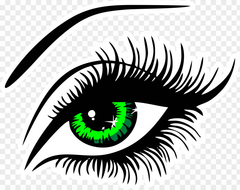 Eyelash Extensions Eye Liner Clip Art PNG