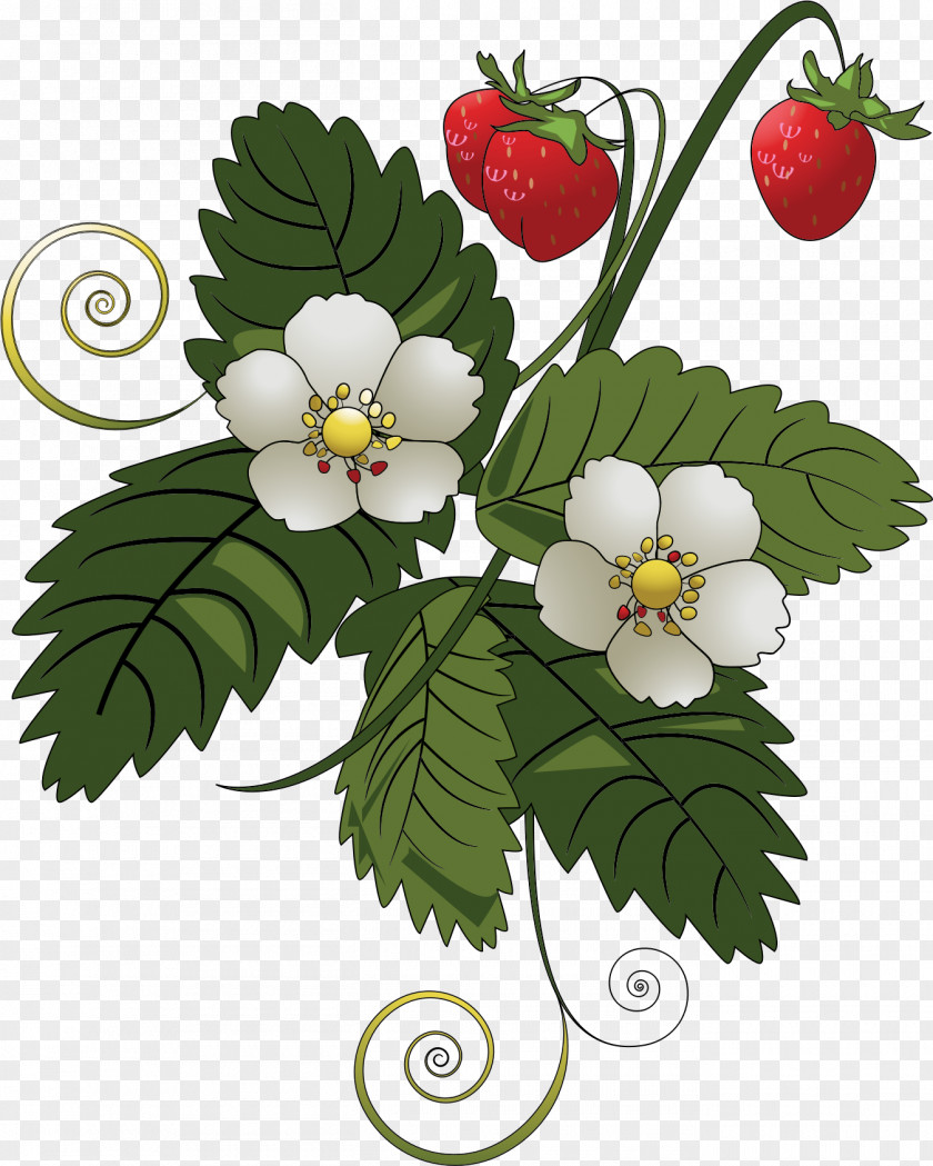 Flower Vine Strawberry Pie Fruit Clip Art PNG