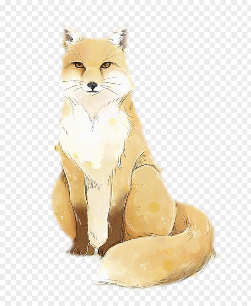 Fox Vector Red PNG