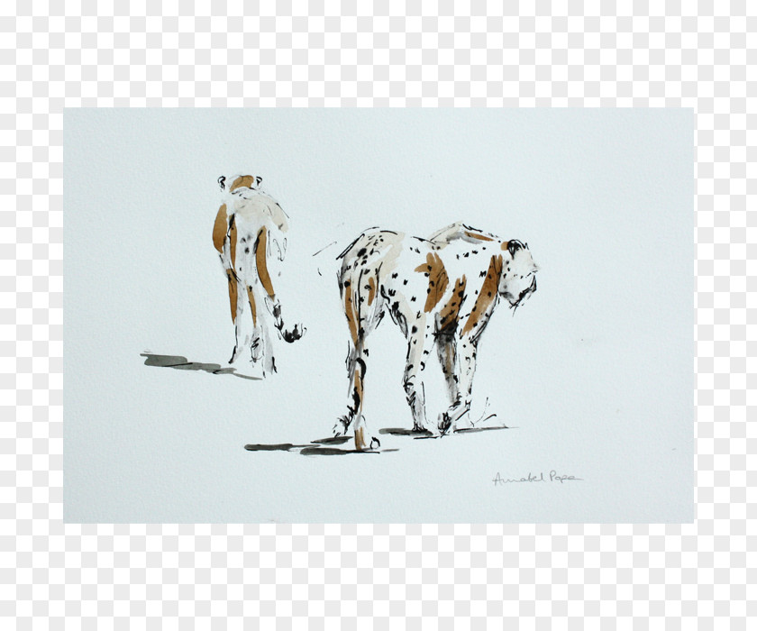 Giraffe Dalmatian Dog Drawing /m/02csf PNG