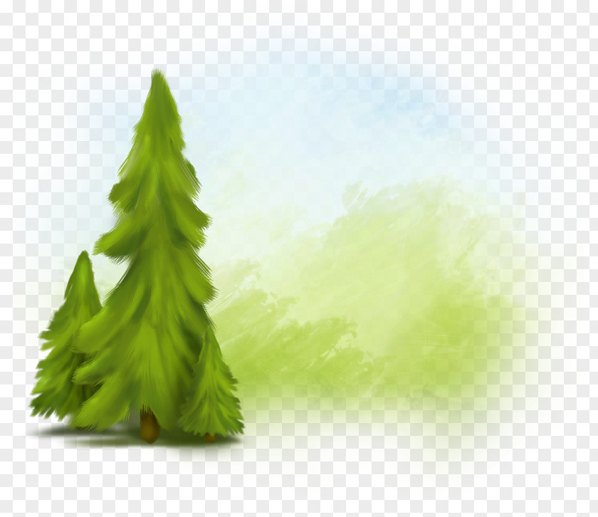 Green Mountain Trees Fir Spruce Tree PNG