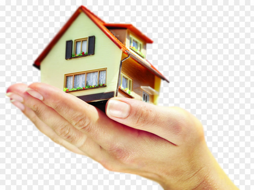 House Real Estate Insurance Property PNG