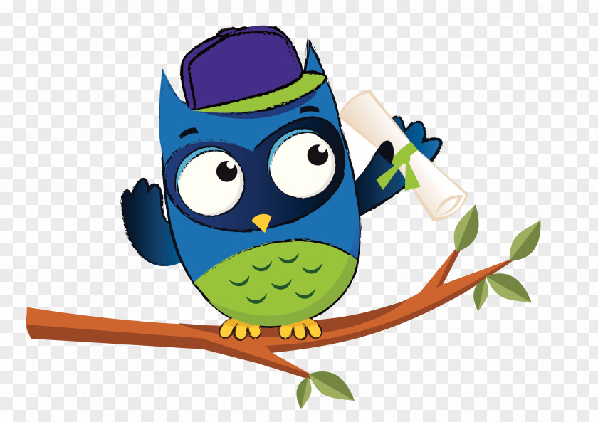 Learning Owl Bird Clip Art PNG