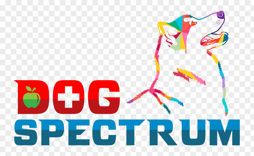 Veterinarian Spectrum Miami Art Basel Exhibition Contracting Inc PNG