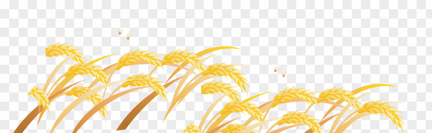 Wheat Yellow Petal Font PNG