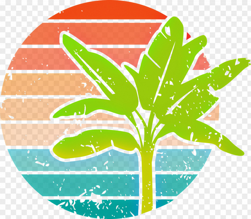 Summer Palm PNG