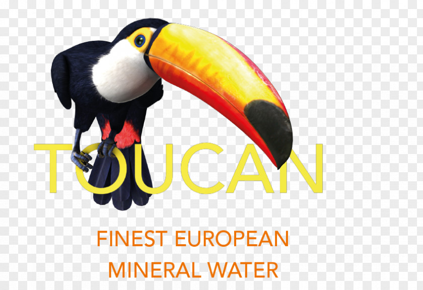 Toucan Mineral Water Beak Austria PNG