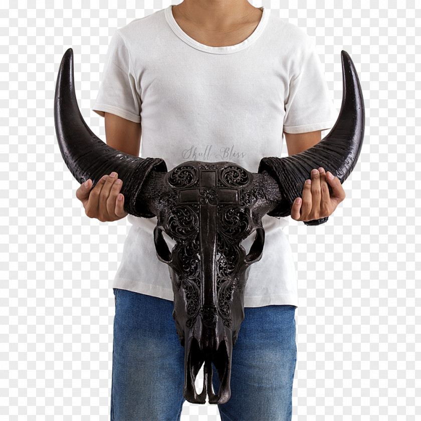 Buffalo Skull Horn Cattle Cross Carving PNG