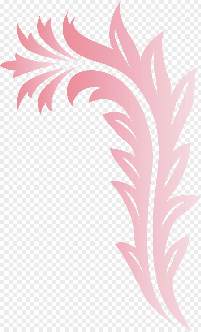 Flower Frame Floral Decoration PNG