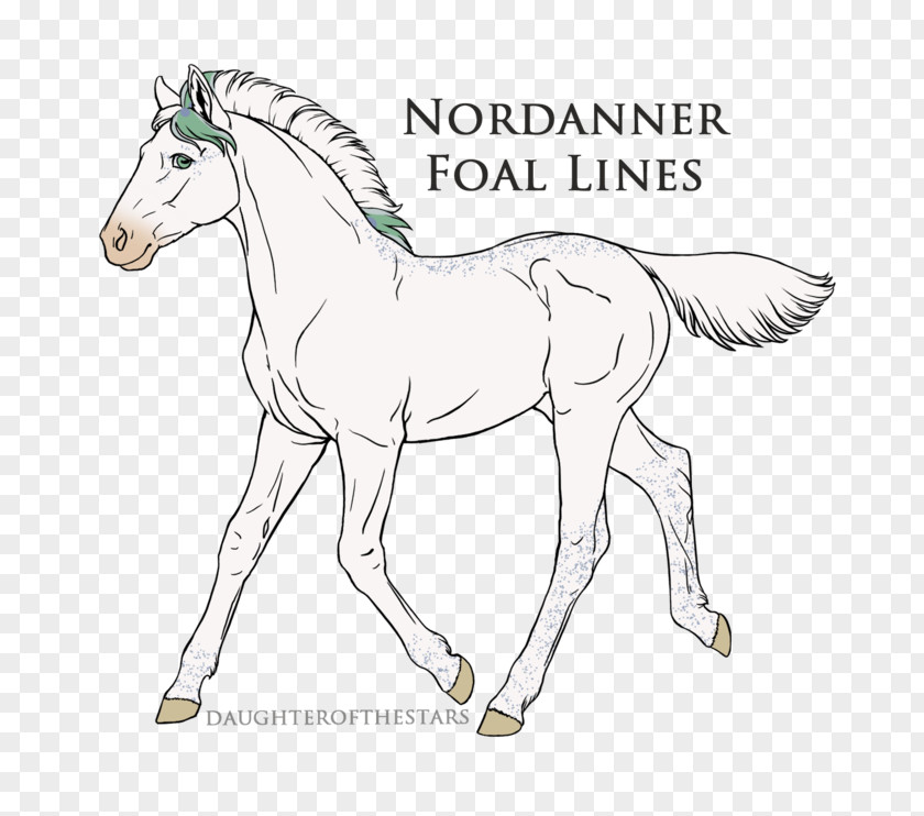 Horse Foal Pony Stallion Mane Colt PNG