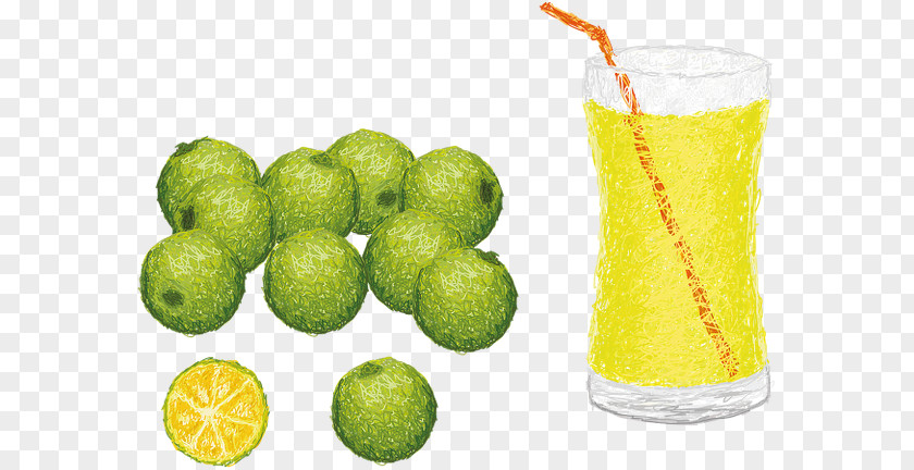 Lime Lemon-lime Drink Juice Calamondin PNG