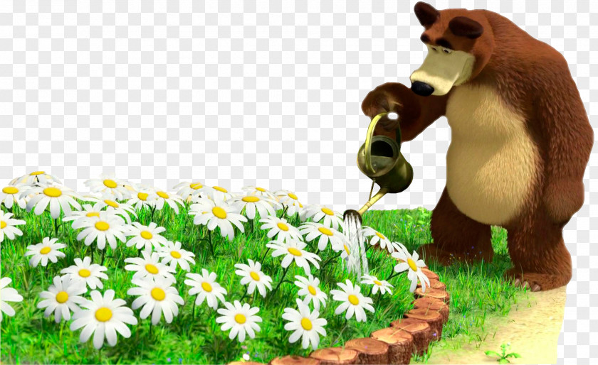 Masha Bear Flower Animation Clip Art PNG