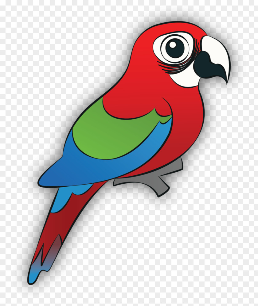 Abstract Animal Macaw Parrot Loriini Clip Art PNG
