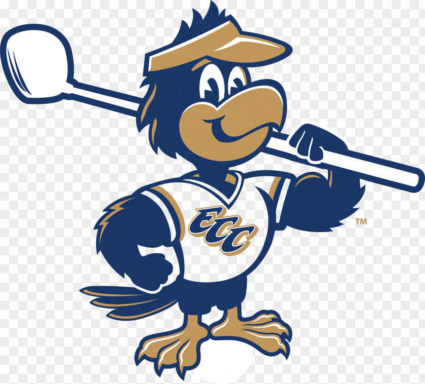 Falcon East Central College Sport Beak Clip Art PNG