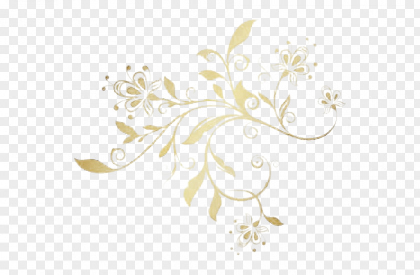 Floral Design PNG