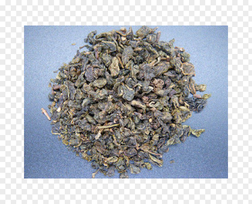 Green Tea Oolong Nilgiri Black PNG