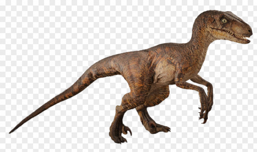 Jurassic Park 4 Trailer 2014 Velociraptor Robert Muldoon Film Dinosaur PNG