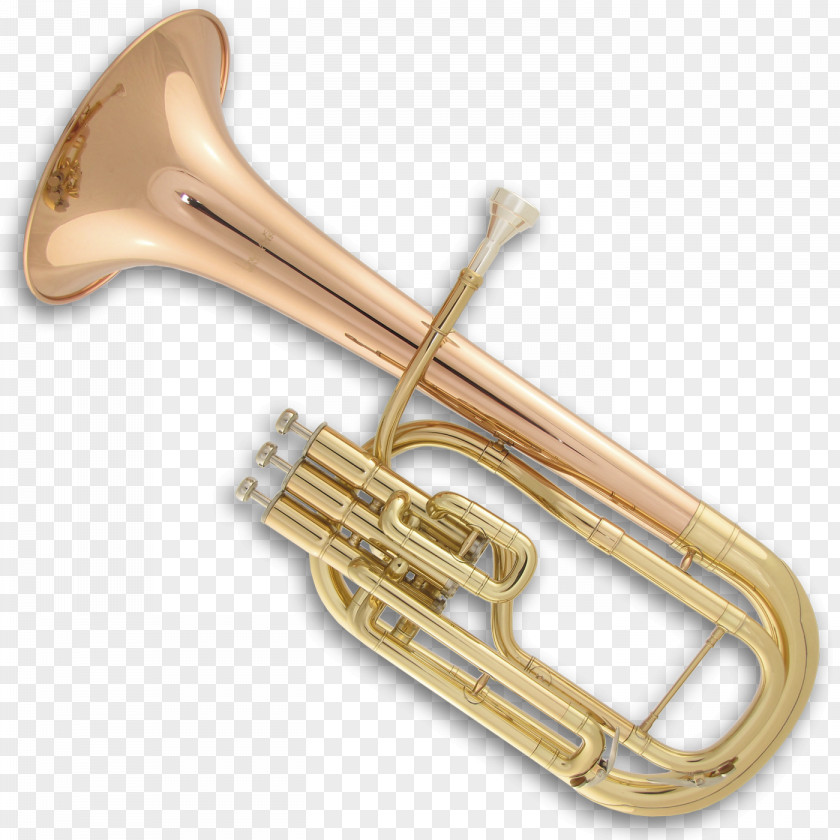 Tuba Brass Instruments Tenor Horn Musical Trumpet Euphonium PNG