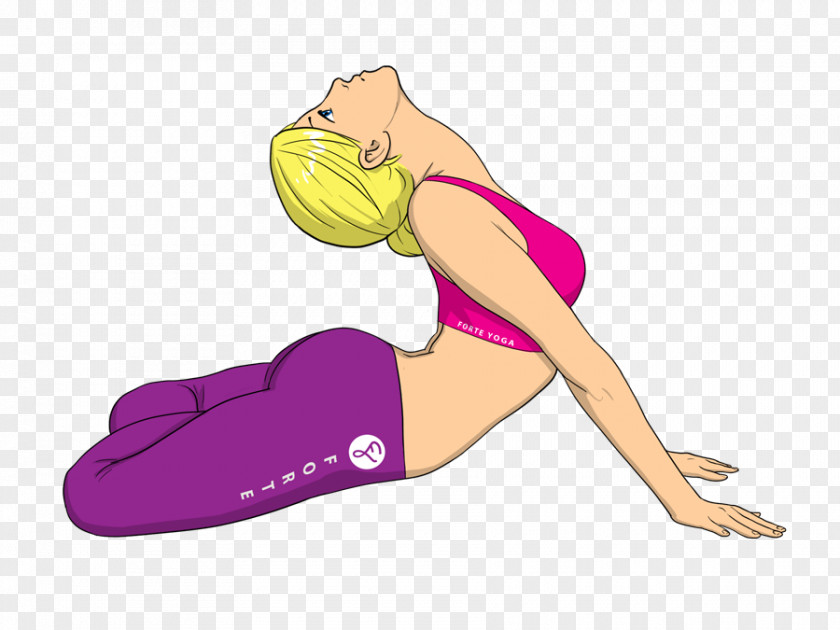 Yoga Exercises Lotus Position Bhujangasana Asento PNG