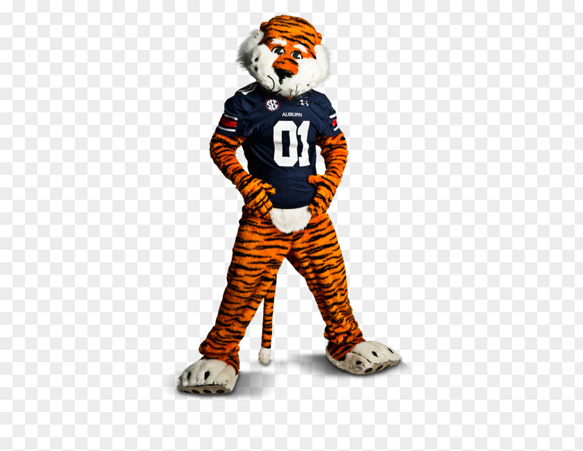 Auburn University Tigers Football Southeastern Conference Citrus Bowl Alabama Crimson Tide PNG